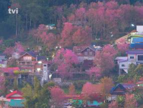 Mizoram Tour Package