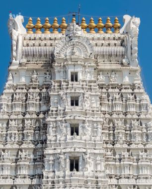 Govindaraja Swamy Temple