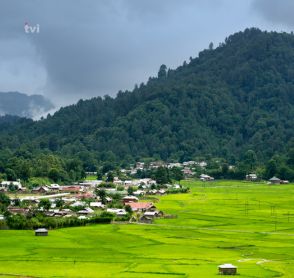 Ziro Valley