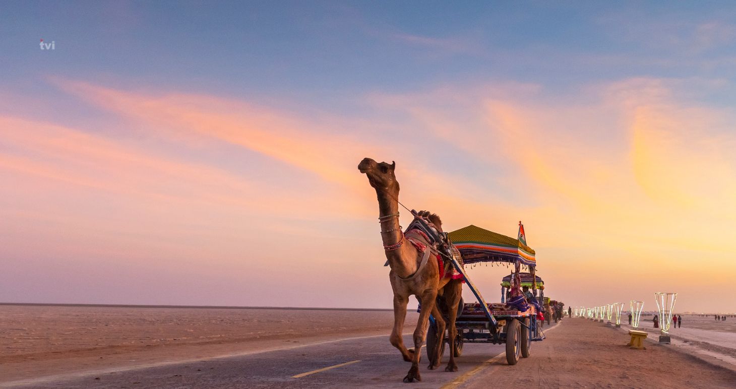 Gir National Park Lion Safari Gujarat