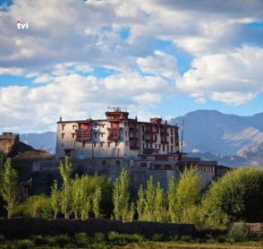 Stok Palace