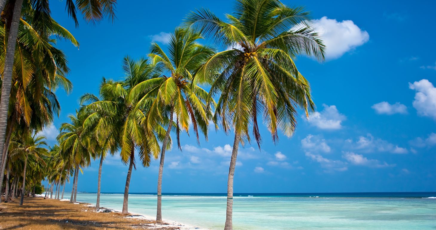 Sea Turtle Nesting Tour Lakshadweep