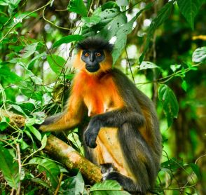 Fakim Wildlife Sanctuary