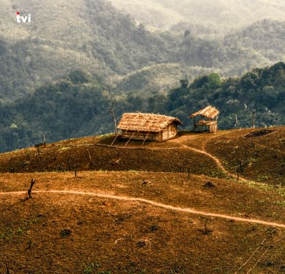 Nagaland Package