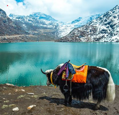 Sikkim Tours