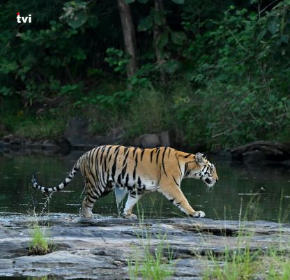 West Bengal Tours