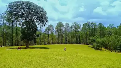 Ranikhet Golf Course — 9-hole British-era golf course at 1829 metres altitude, Uttarakhand
