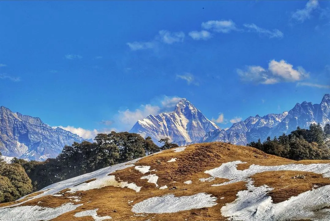 Gorson Bugyal — Alpine Meadow near Auli
