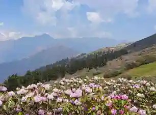 Harshil Valley Tour Package