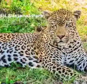 Rajaji National Park